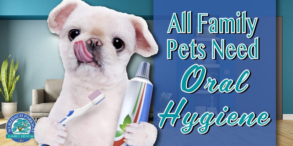 all family pets need oral hygiene
