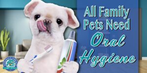 all family pets need oral hygiene